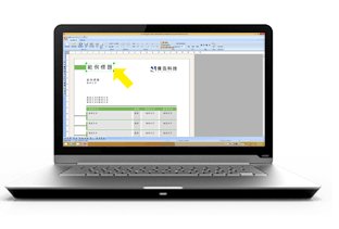 套表通表單套印畫面